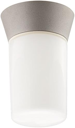 Nuvo Lighting SF77/139 Utility Fixture Die Cast Aluminum Durable Outdoor Wall Mount Porch and Patio Light with White Glass Globe, Satin Aluminum