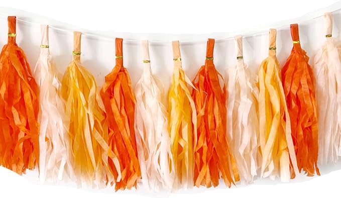 30pcs Paper Tassels Garland Banner Tissue Paper Tassel DIY Hanging Paper Decorations Party Tassel Garland Decor Baby Shower Nursery Wedding Festival Baby Shower Decoration(30, Orange kit)