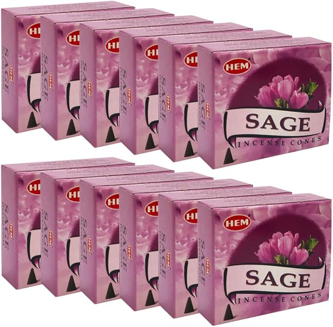 Sage Incense Cones And Cone Incense Burner Bundle Insence Insense Hem Incense