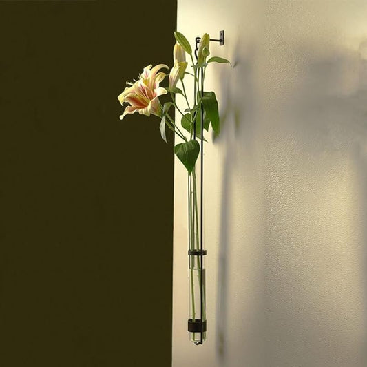 Couronne Company M046-001 Florence Hanger & Wall Hook, 31", Clear, 1 Piece
