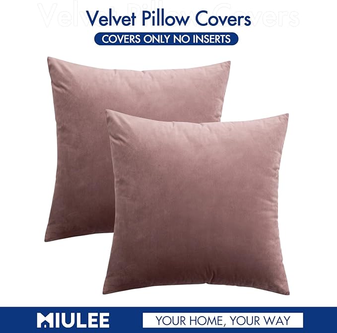MIULEE Velvet Throw Pillow Covers 16x16 Inch, Pack of 2 - Jam, Soft Solid Decorative Pillow Covers Cushion Cases Modern Luxury Home Decor for Spring Couch Sofa Bedroom Livingroom