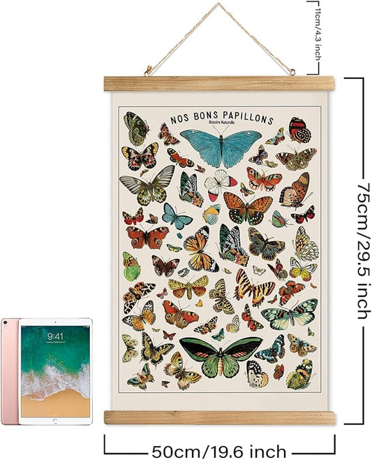 XIAOAIKA Vintage Butterfly Species Poster - Illustrated Educational Chart with Wooden Frame - Entomology Wall Art for Nature Lovers, Classrooms, and Home Decor 20 x 30 Inches