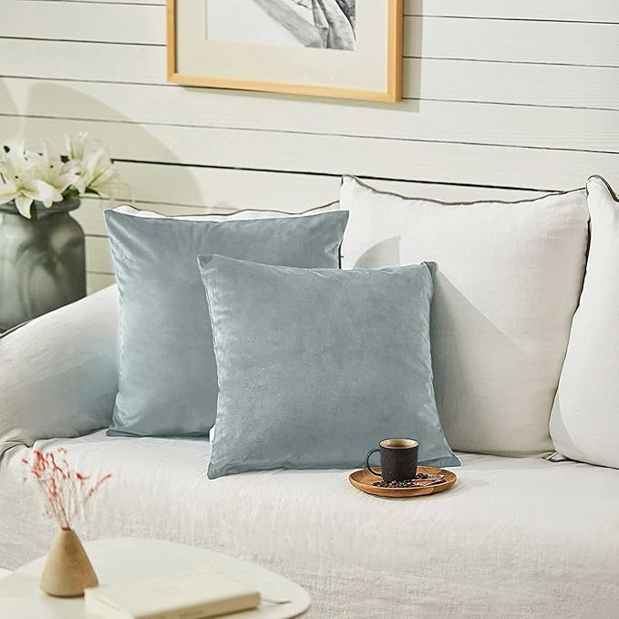 FY FIBER HOUSE Pack of 2 Velvet Throw Pillow Covers Decorative Square Pillowcase Soft Solid Cushion Case for Sofa/Couch Use, 18 x 18 Inch Light Grey