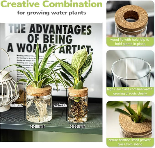 Glass Propagation Stations for Plants -Desktop Flower Vases,Propagation Flower Vases Set – 6 Large & 6 Small for Plant Cuttings,for Living Room, Bedroom Decoration,Home,Office Decor (12)