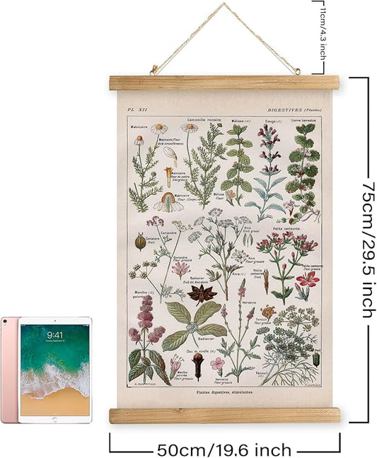 XIAOAIKA Vintage Botanical Herbs Illustration Poster - Retro Medicinal Plant Chart with Wooden Frame - Educational Herbal Reference for Home, Kitchen, or Classroom Decor 20 x 30 Inches