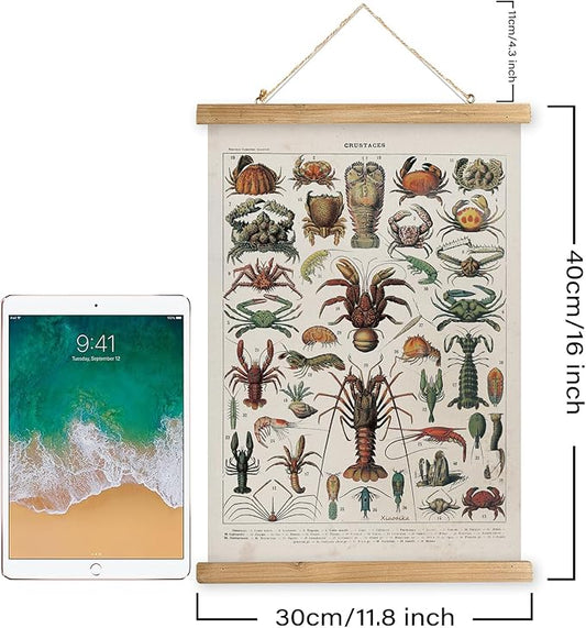 XIAOAIKA Antique Crustacean Species Poster - Vintage Detailed Seafood Illustration Chart with Wooden Frame - Educational Wall Art for Seafood Enthusiasts, Chefs, and Classrooms 12 x 16 Inches