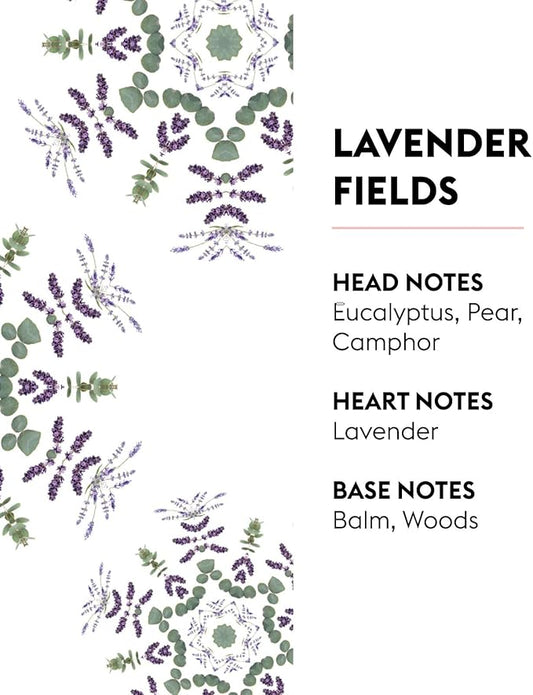 Lavender Fields | Lampe Berger Fragrance Refill by Maison Berger | for Home Fragrance Oil Diffuser | Purifying and perfuming Your Home | 16.9 Fluid Ounces - 500 milliliters | Made in France