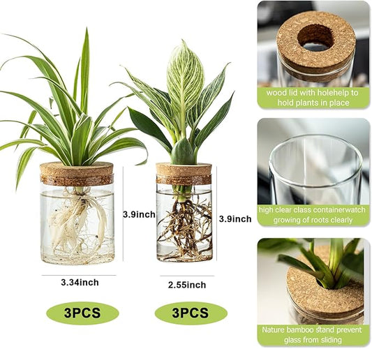 Plant Propagation Station,Hydroponic Glass Container Vase 2 Sizes Planter Propagated Jars for Desks, Houses, Garden Decorations,Home Kitchen Decorations and Gifts cu.20.5 (6pcs)