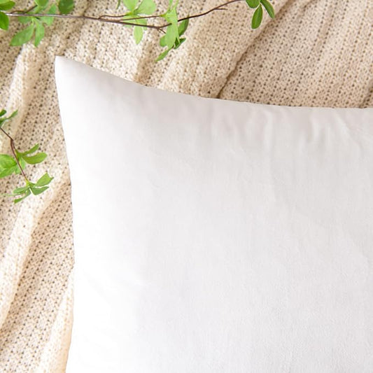 EMEMA Pack of 2 Velvet Throw Pillow Covers Decorative Rectangle Pillowcase Soft Solid Cushion Case for Sofa Bedroom Chair Car 12x20 Inch White