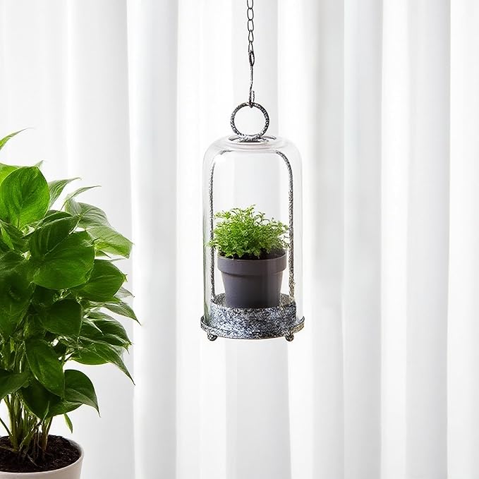 12" High Versatile Modern Metal Hurricane Lantern with Handmade Sturdy Glass Dome in Shabby Black for Pillar Candle & Plants, Industrial, Farmhouse (Black Shabby, 5"x12")