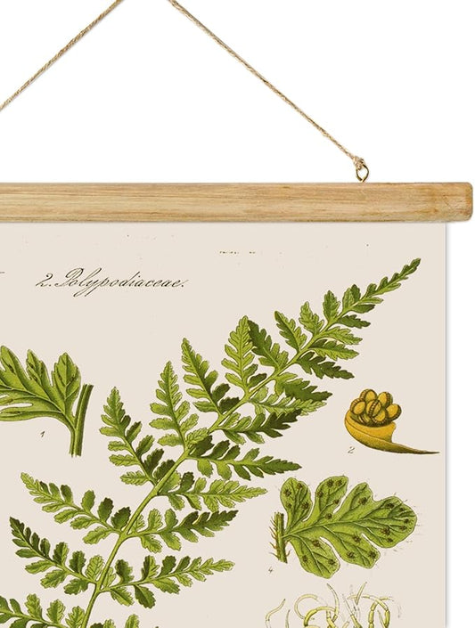 Vintage Illustrative Reference Plant Hanging Poster, Retro Style of Botanical Wall Art Prints, Printed on Linen with Wood Frames, Ready to Hang