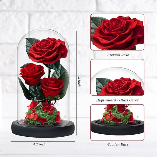 3 Preserved Flowers Roses in Glass Dome with Light for Beauty and The Beast Decor Real Rosas Eternas for Women Mom Birthday,Forever Red Roses for Delivery, Gifts for Wife Girlfriend Her