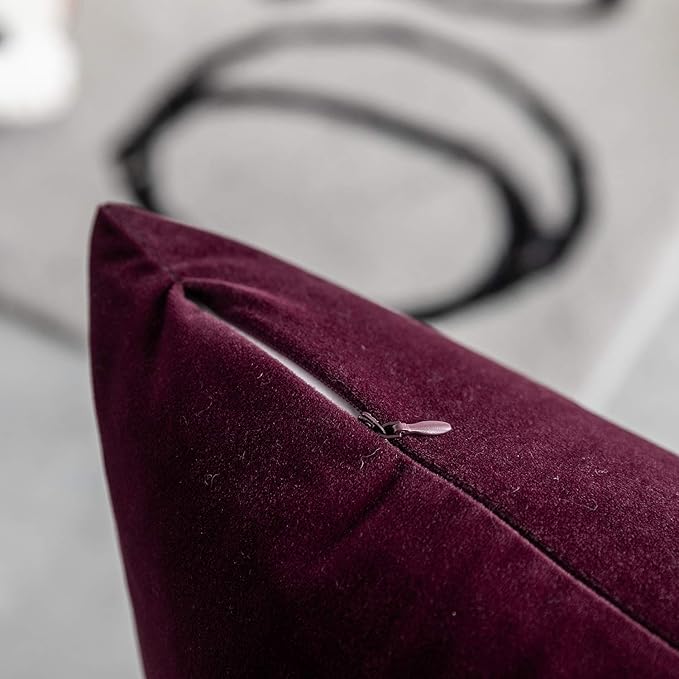 Set of 2 Comfortable Velvet Throw Pillow Cases, Decorative Solid Cushion Covers for Sofa Couch and Bed - 20"x20", Burgundy