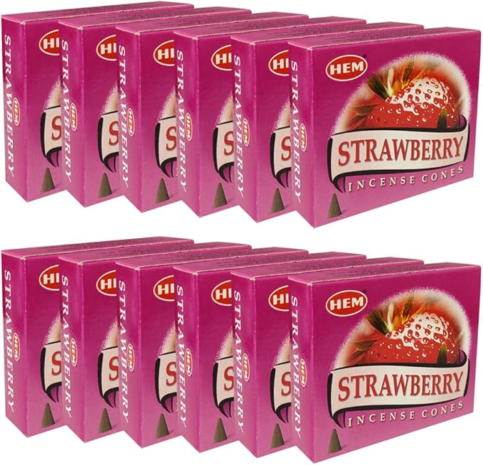 Strawberry Incense Cones and Cone Incense Burner Bundle Insence Insense Hem Incense
