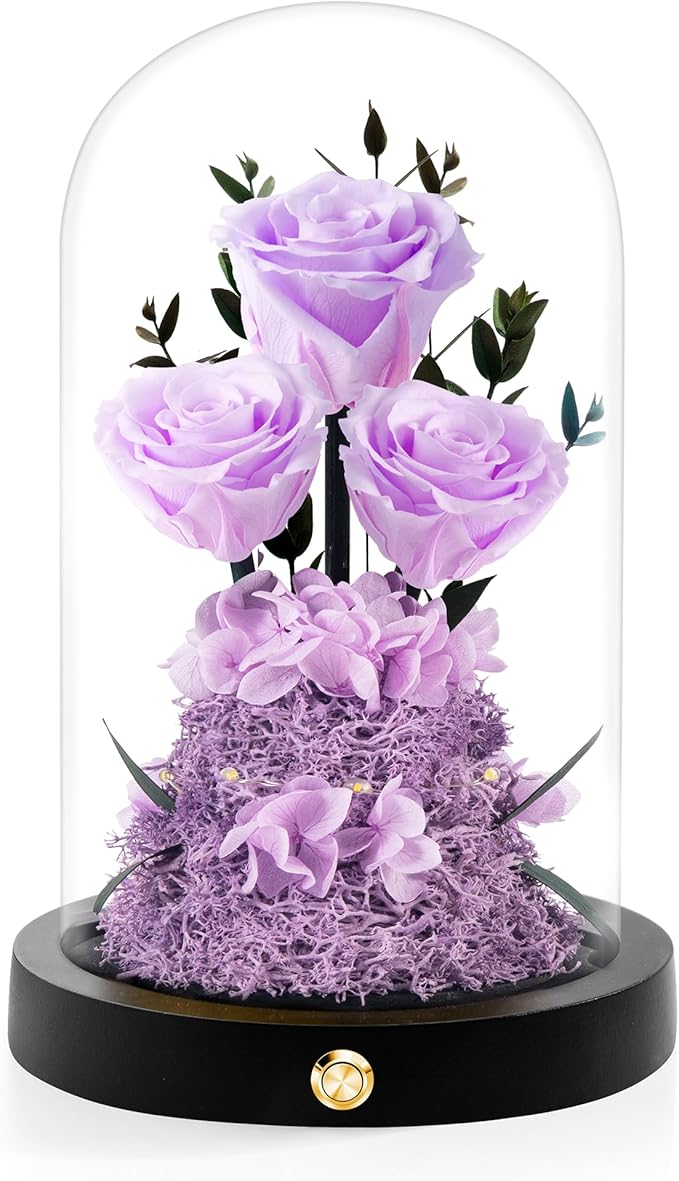 Valentines Day Flowers Roses Gifts for Her,Forever Real Preserved Roses in Glass Dome,Valentines Day Anniversary Birthday Gifts for Wife Girlfriend Women Mom Best Friend Her/Light Purple