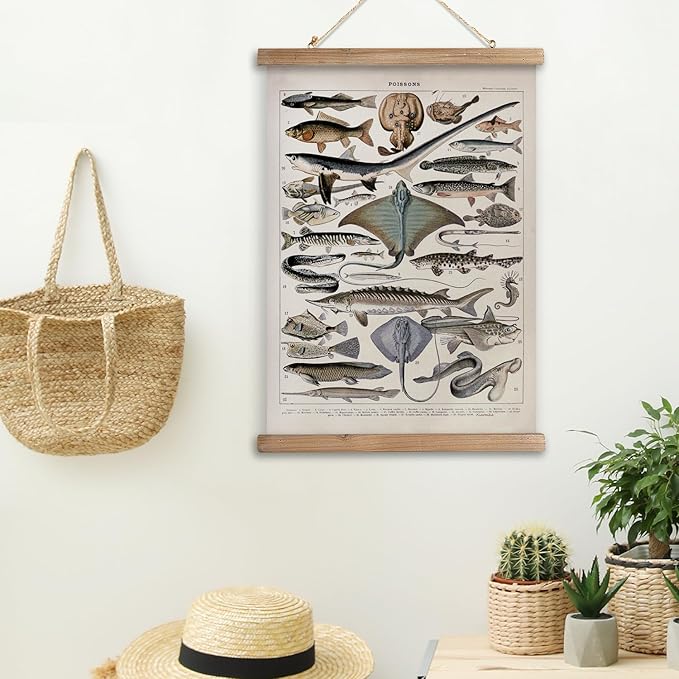 XIAOAIKA Vintage Fish Species Poster - Educational Oceanic Life Chart with Wooden Scroll Frame - Classic Nautical Wall Hanging Decor for Home, Office, or Classroom 12 x 16 Inches