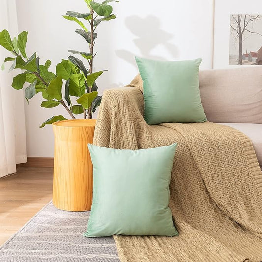 NiNi ALL Decorative Sage Green Throw Pillow Covers Pack of 2 Velvet 14x14 Inch Throw Pillow Cases for Couch Pillows Cover Bedroom Living Room Outdoor Pillows Cover