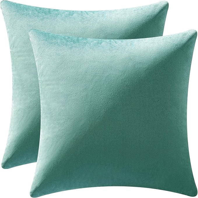 MIULEE 24x24 Inch Euro Sham Velvet Pillow Covers, Set of 2 Large Square Decorative Pillows -Aqua Green Super Soft for King Bed, Sofa, Couch, Accent Chairs with Hidden Zipper