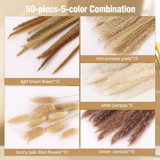 N&T NETING 50Pcs Pampas Grass Decor-5Pcs White Pampas, 10Pcs Brown Pompous, 10Pcs Bunny Tails Dried Flowers, 15Pcs Mini Pompas Grass,10Pcs Light Brown Flower Pompas for Home Decor Wedding Boho Decor