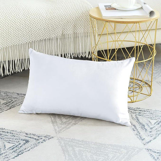 Artscope Luxury Velvet Pillow Covers Decorative Rectangle Pillowcases Soft Solid Cushion Cases for Couch Sofa Bedroom Car Decor 16x24 Inch White