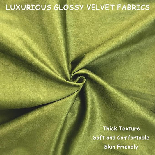 2 Pack 20x20 Pillow Cover Velvet Pillow Covers, Square Throw Pillow Covers for Living Room Decorations Throw Pillow Case, Throw Pillow Cover Cushion Cover for Sofa Bedroom Car, Emerald Green Velvet