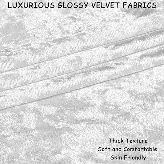2 Pack 14x14 Pillow Cover Velvet Pillow Covers, Square Throw Pillow Covers for Living Room Decorations Throw Pillow Case, Throw Pillow Cover Cushion Cover for Home Sofa Bedroom Car, Silver White