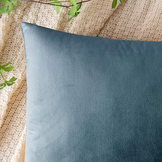 EMEMA Pack of 2 Velvet Throw Pillow Covers Decorative Square Pillowcase Soft Solid Cushion Case for Sofa Bedroom Chair Car 24x24 Inch Light Blue