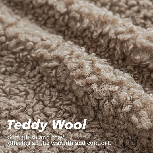 Foindtower 2 Pieces Teddy Faux Fur Throw Pillow Cover Decorative Sherpa Pillow Fuzzy Sheepskin Accent Cushion Case Soft Fleece Pillowcases for Bed Couch Living Room 18x18 Inch Khaki