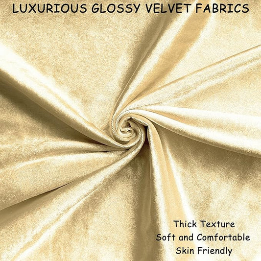 2 Pack 16x16 Pillow Cover Velvet Pillow Covers, Square Throw Pillow Covers for Living Room Decorations Throw Pillow Case, Throw Pillow Cover Cushion Cover for Home Sofa Bedroom Car, Champagne