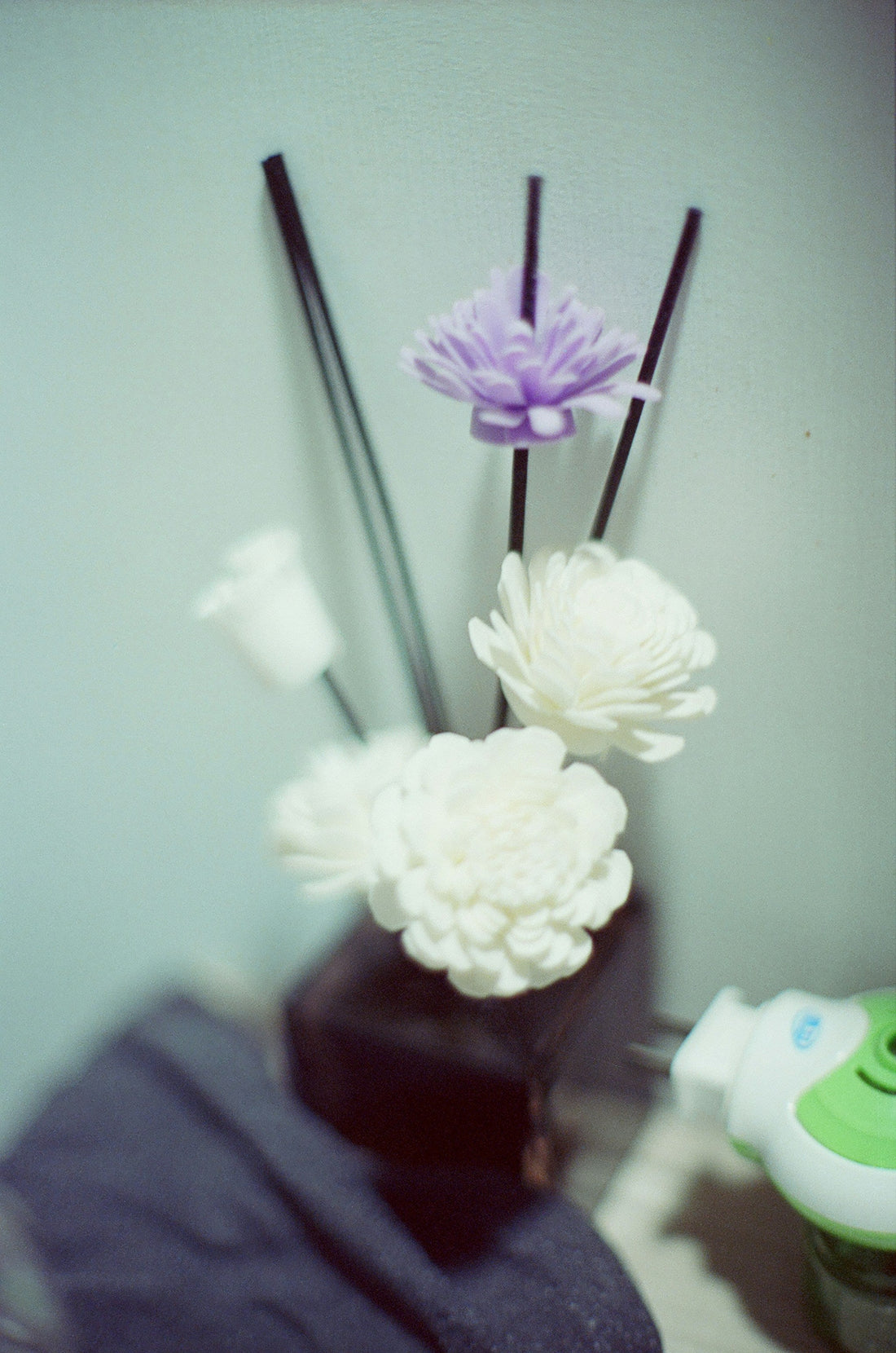 Scented Sanctuaries: Defining Space with Aroma