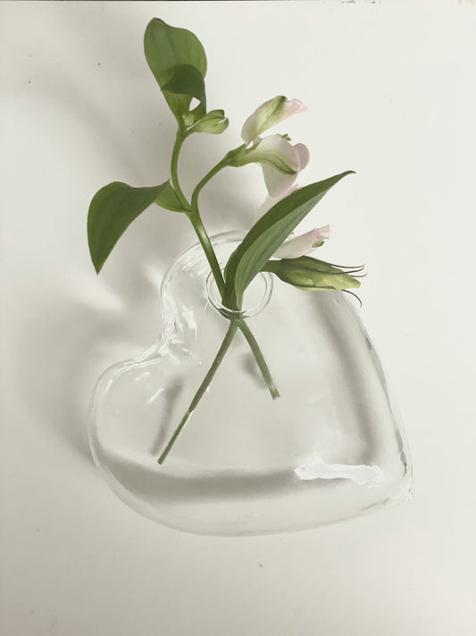 Minimalist Home Accessories: Simple, Modern, and Timeless Styling