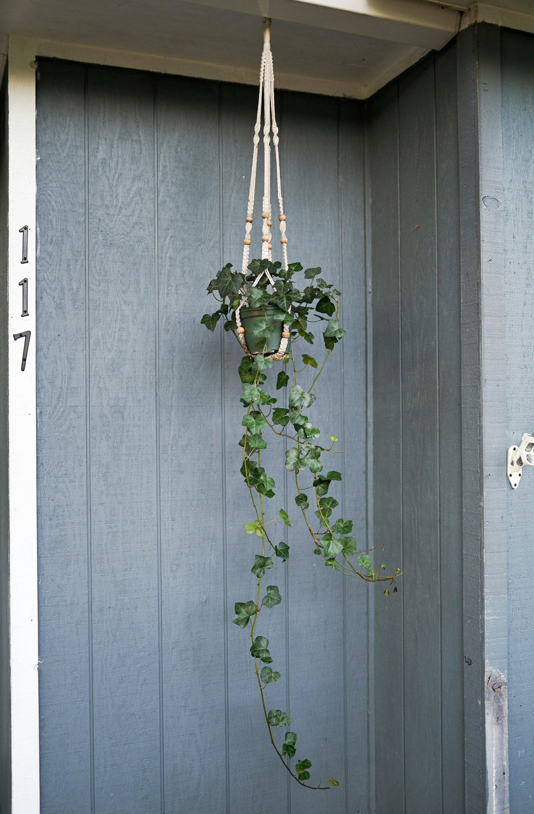 Small Space, Big Style: Apartment Decor Tips Using Tiny Accents