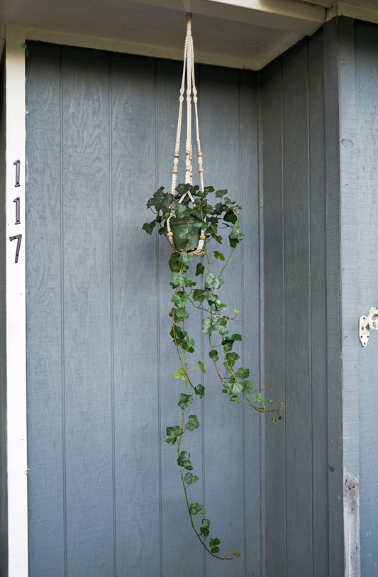 Small Space, Big Style: Apartment Decor Tips Using Tiny Accents