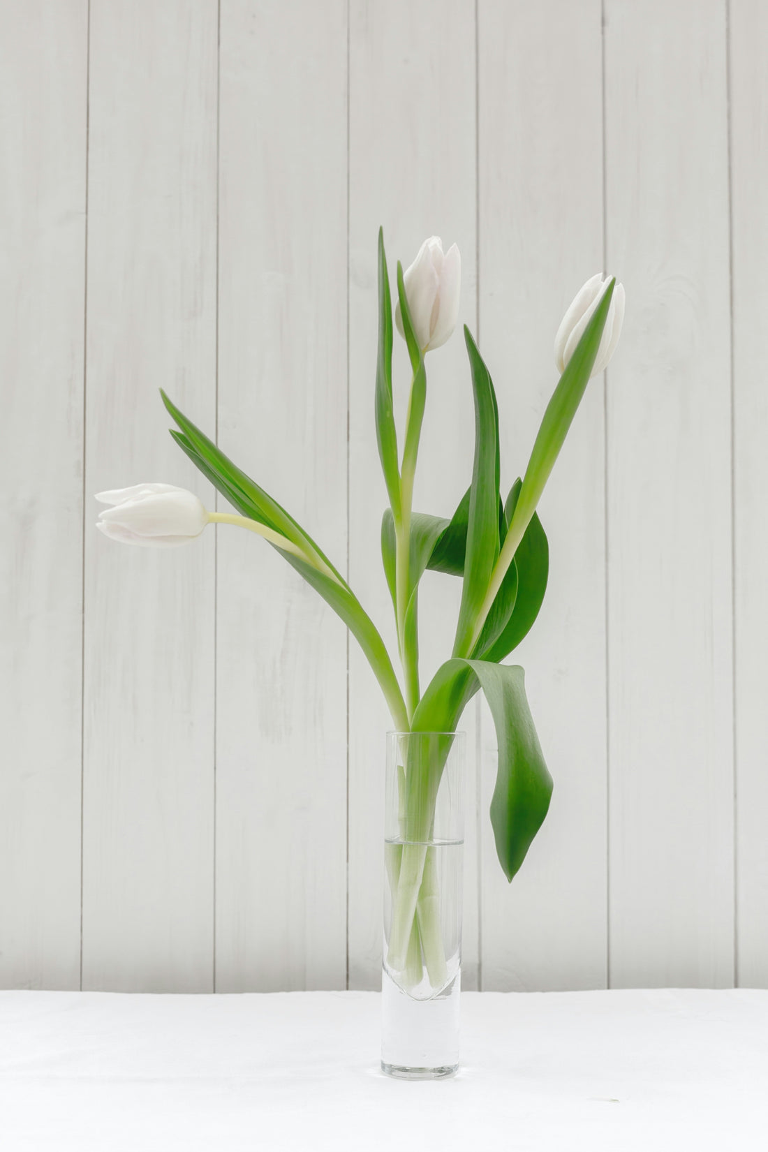 Botanical Bliss: Styling with Vases and Plants