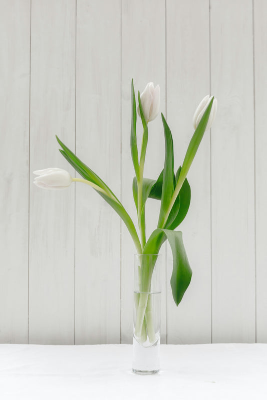 Botanical Bliss: Styling with Vases and Plants