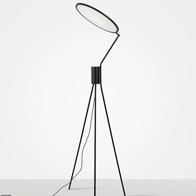 Nordic Modern Floor Lamp Fashion Luxury Family Iiving Room Bedroom Study Villa Hotel LED Creativity Decorative Standing Light (Style 30)