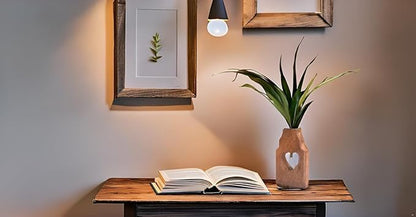 Wooden Plant Propagation Station Stand with Single Glass Test Tube Indoor Desktop Terrarium for Hydroponics Water Plant Cutting Flower Vase Planter Home Office Garden Decor Plant Lover Gifts (Brown)
