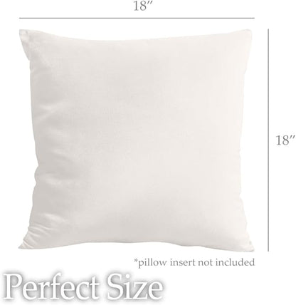 lalaLOOM Velvet Throw Pillow Covers, Set of 2, 18x18 Decorative Square Pillows Home Decor, Soft Accent Cases, Silky Machine Washable Pillowcases for Sofa, Couch, Bedroom, Living Room, Cream