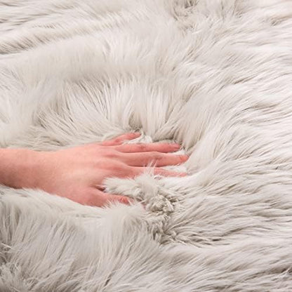 EasyJoy Ultra Soft Fluffy Shaggy Area Rug Faux Fur, Chair Cover, Fuzzy Seat Pad for Bedroom Floor Sofa Living Room (2 x 6 ft Sheepskin, Light Grey)