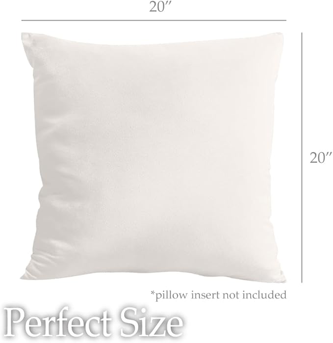 lalaLOOM Velvet Throw Pillow Covers, Set of 2, 20x20 Decorative Square Pillows Home Decor, Soft Accent Cases, Silky Machine Washable Pillowcases for Sofa, Couch, Bedroom, Living Room, Cream
