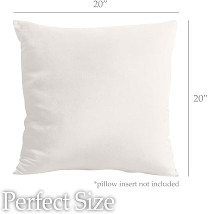lalaLOOM Velvet Throw Pillow Covers, Set of 2, 20x20 Decorative Square Pillows Home Decor, Soft Accent Cases, Silky Machine Washable Pillowcases for Sofa, Couch, Bedroom, Living Room, Cream