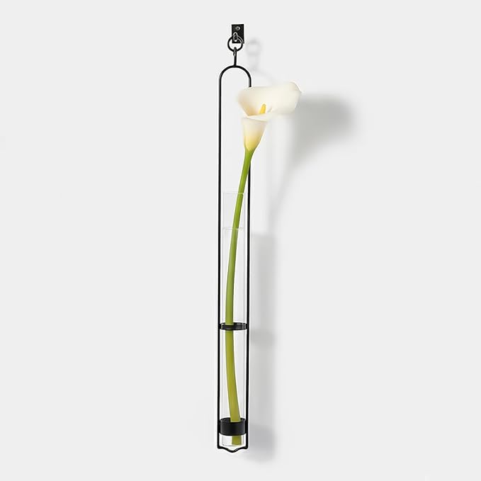 Couronne Company M046-001 Florence Hanger & Wall Hook, 31", Clear, 1 Piece