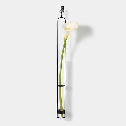 Couronne Company M046-001 Florence Hanger & Wall Hook, 31", Clear, 1 Piece