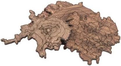 Pacific Northwest Wooden Coasters | Mt. Rainier, Mt. Hood, Mt. Baker, Mt. Bachelor and Mt. St. Helens | Coasters Made Using Real Walnut Wood in the USA [coasters]