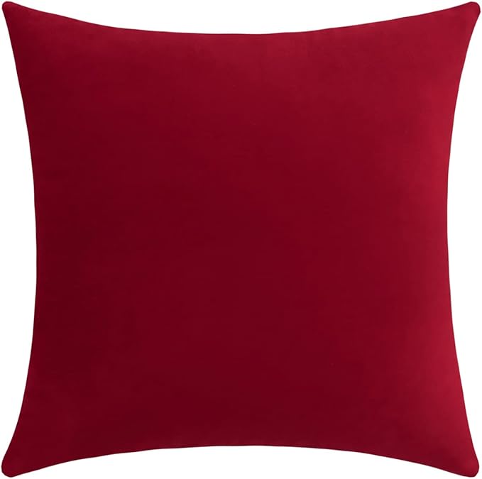 Jeneoo Set of 1 Comfy Accent Soft Velvet Throw Pillow Covers for Sofa Couch, Invisible Zipper Decorative Solid Square Cushion Cases for Livingroom Car (24 x 24 Inches, Santa Red)