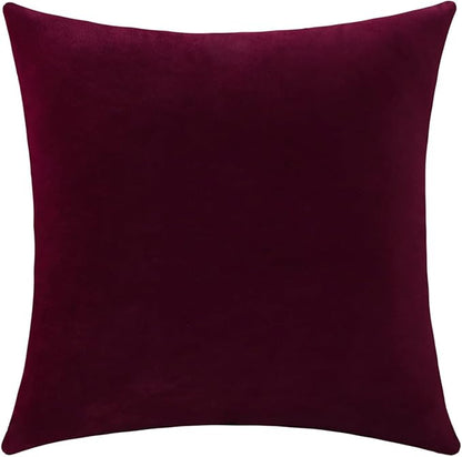 Jeneoo Set of 1 Comfy Accent Soft Velvet Throw Pillow Covers for Sofa Couch, Invisible Zipper Decorative Solid Square Cushion Cases for Livingroom Car (24 x 24 Inches, Burgundy Red)