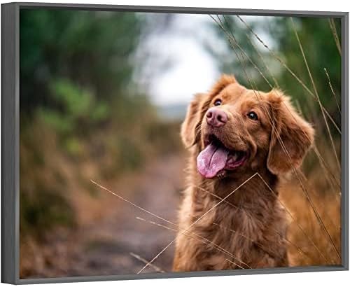jenesaisquoi Upload Your Photo Image Custom Personalized Photo to Poster Printing Home Decor Wall Art Prints (Black Frame, 16" x 12")