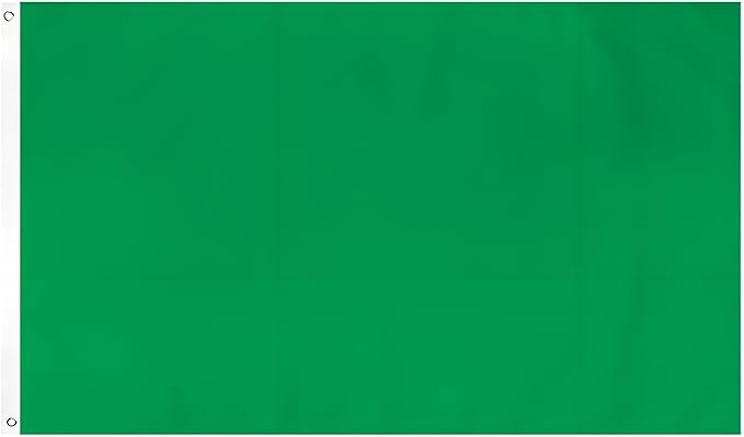 Solid Green Flag 3x5 Ft Blank Green Flags Vivid Color Double Stitched Plain Flag with Brass Grommets