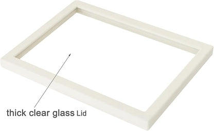 Coward 2Pcs Beige Velvet Glass Lid for the Trays Can Use if Needed