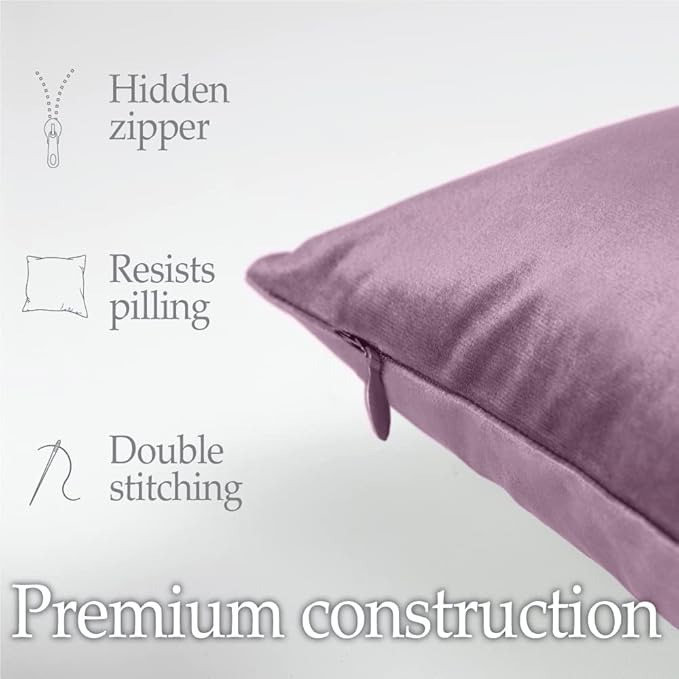 lalaLOOM Velvet Throw Pillow Covers, Set of 2, 20x20 Decorative Square Pillows Home Decor, Soft Accent Cases, Silky Machine Washable Pillowcases for Sofa, Couch, Bedroom, Living Room, Plum Purple